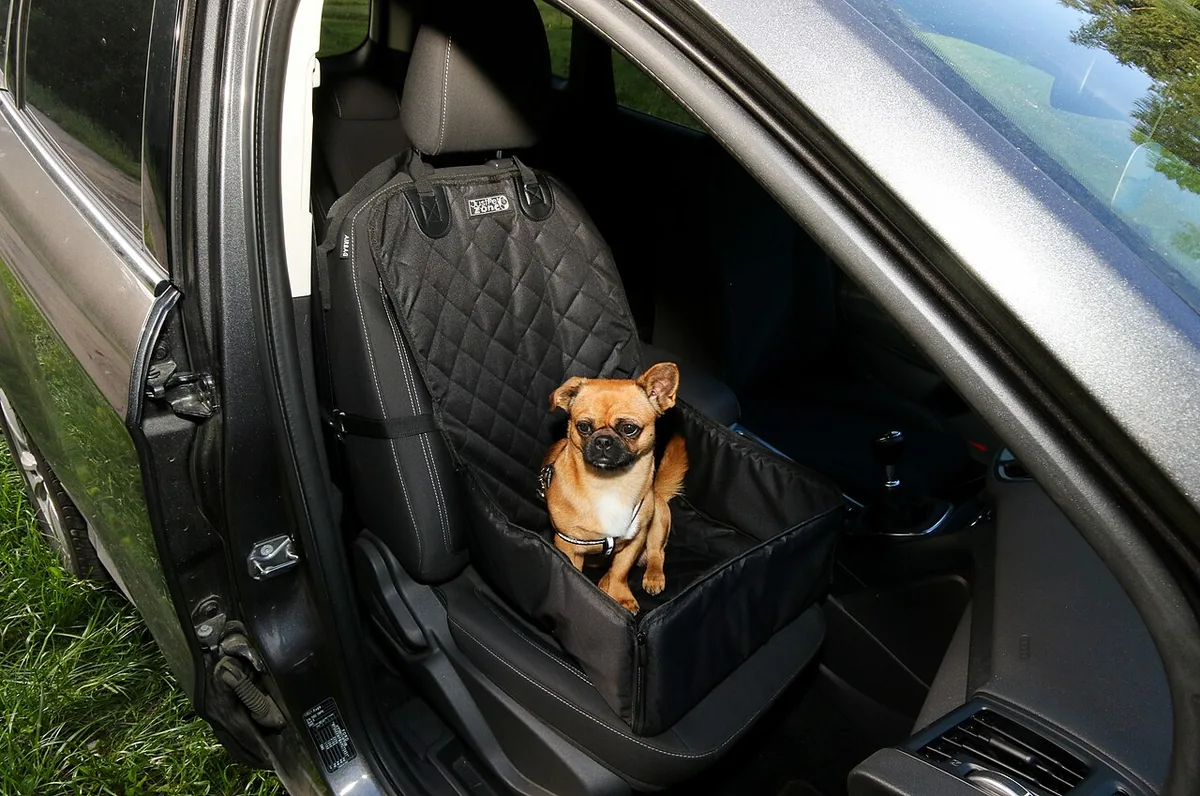 A dog wearing a travel harness, settled on the back seat of a car for a road trip